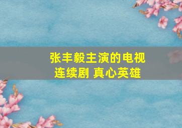 张丰毅主演的电视连续剧 真心英雄